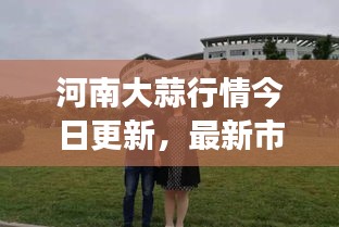 河南大蒜行情今日更新，最新市场动态一网打尽