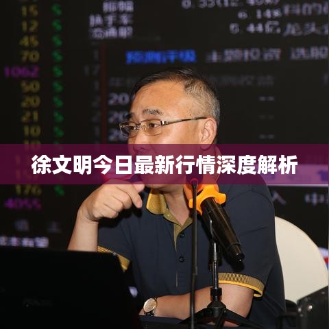 徐文明今日最新行情深度解析