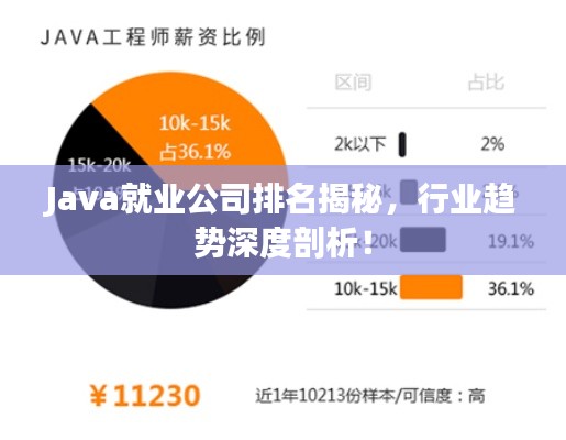 Java就业公司排名揭秘，行业趋势深度剖析！