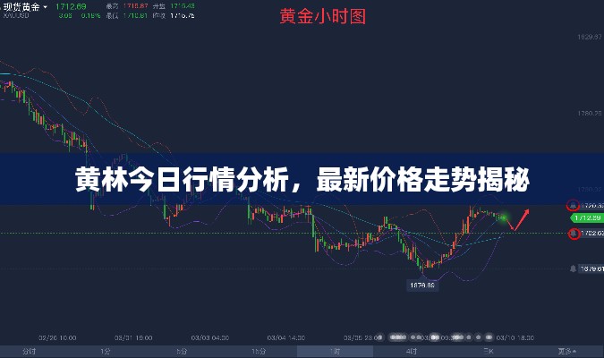 黄林今日行情分析，最新价格走势揭秘