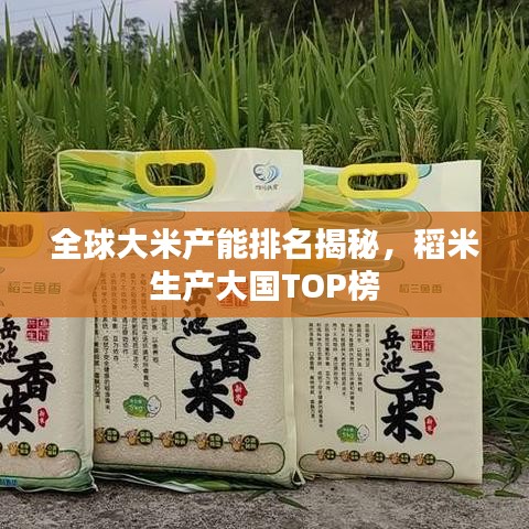 全球大米产能排名揭秘，稻米生产大国TOP榜