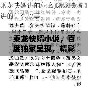 乘龙快婿小说，百度独家呈现，精彩纷呈！