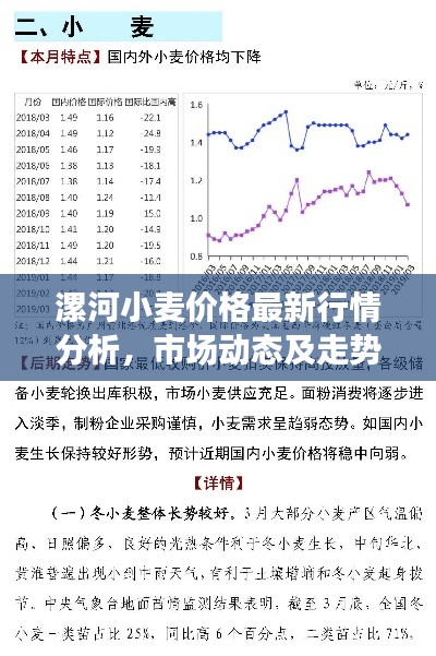 漯河小麦价格最新行情分析，市场动态及走势预测