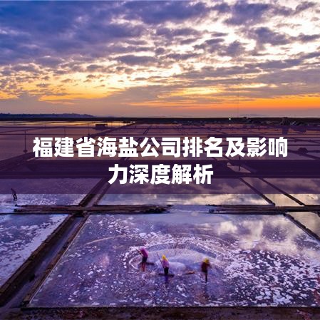 福建省海盐公司排名及影响力深度解析
