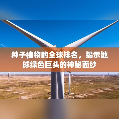 种子植物的全球排名，揭示地球绿色巨头的神秘面纱