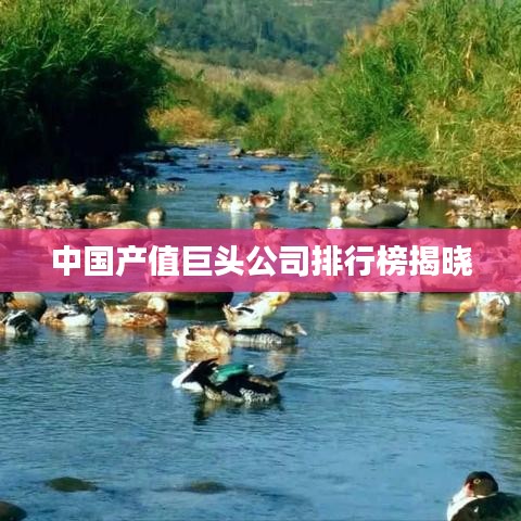 中国产值巨头公司排行榜揭晓