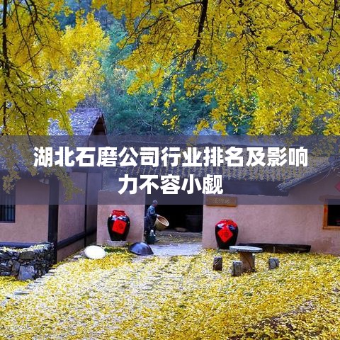湖北石磨公司行业排名及影响力不容小觑