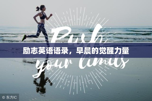 龙飞九五 第2页