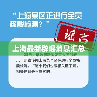 上海最新辟谣消息汇总