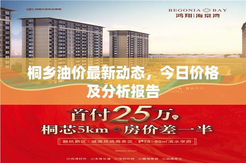 桐乡油价最新动态，今日价格及分析报告