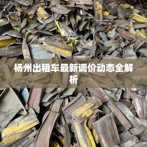 杨州出租车最新调价动态全解析