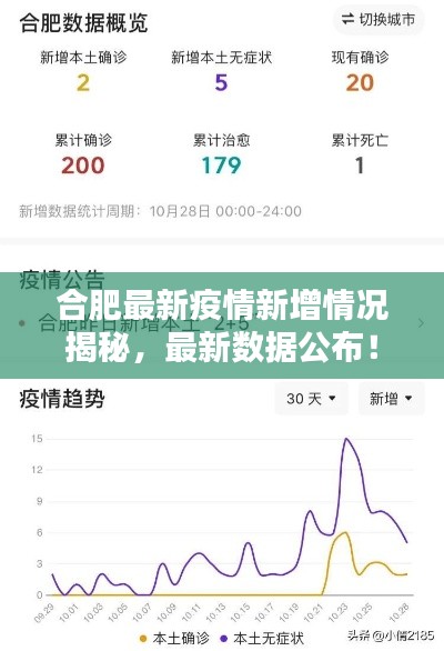 合肥最新疫情新增情况揭秘，最新数据公布！