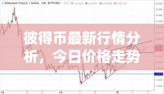 悬驼就石 第2页