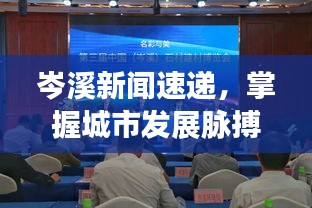 岑溪新闻速递，掌握城市发展脉搏，聚焦民众生活焦点