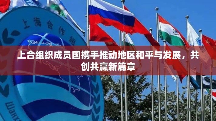 上合组织成员国携手推动地区和平与发展，共创共赢新篇章