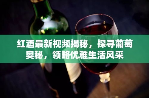 红酒最新视频揭秘，探寻葡萄奥秘，领略优雅生活风采