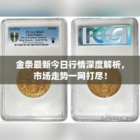 金条最新今日行情深度解析，市场走势一网打尽！