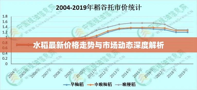 水稻最新价格走势与市场动态深度解析