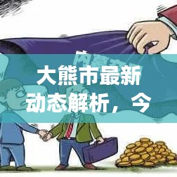 大熊市最新动态解析，今日市场深度分析