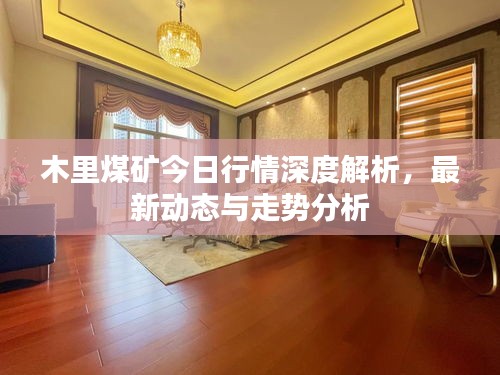 木里煤矿今日行情深度解析，最新动态与走势分析