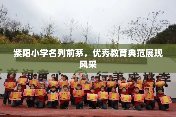 紫阳小学名列前茅，优秀教育典范展现风采