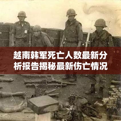 越南韩军死亡人数最新分析报告揭秘最新伤亡情况