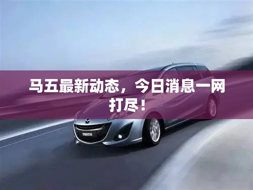 马五最新动态，今日消息一网打尽！