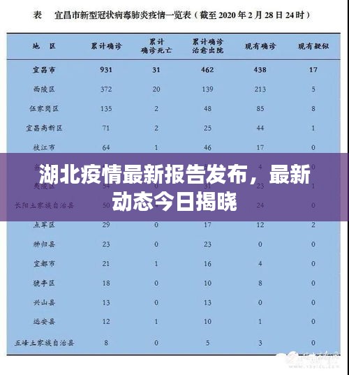 湖北疫情最新报告发布，最新动态今日揭晓