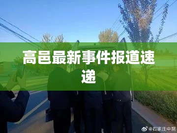 高邑最新事件报道速递