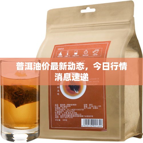 普洱油价最新动态，今日行情消息速递
