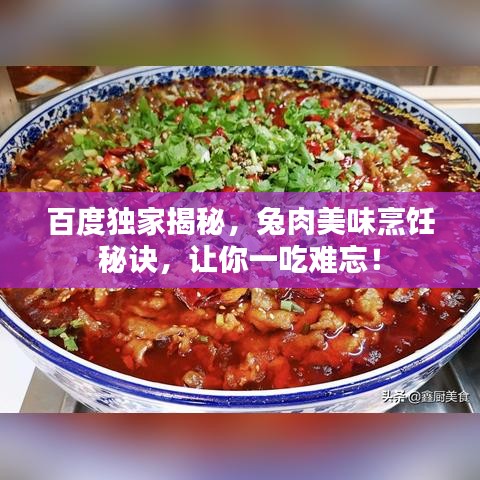 百度独家揭秘，兔肉美味烹饪秘诀，让你一吃难忘！