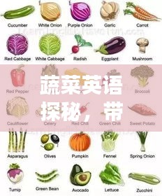 蔬菜英语探秘，带你走进词汇的绿意世界