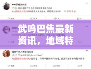 武鸣巴焦最新资讯，地域特色尽显，新闻头条传递实时信息