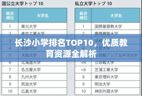 长沙小学排名TOP10，优质教育资源全解析