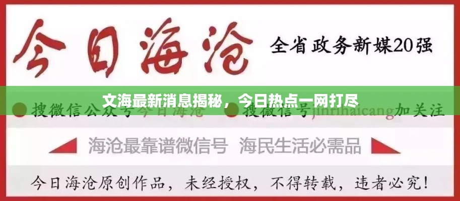 文海最新消息揭秘，今日热点一网打尽