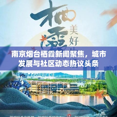 南京烟台栖霞新闻聚焦，城市发展与社区动态热议头条