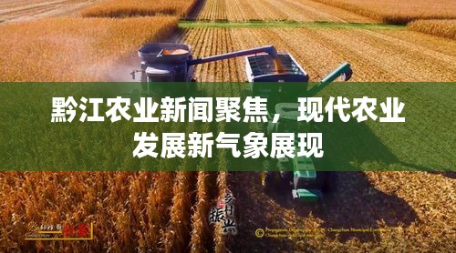 黔江农业新闻聚焦，现代农业发展新气象展现