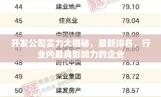 开发公司实力大揭秘，最新排名，行业内最具影响力的企业