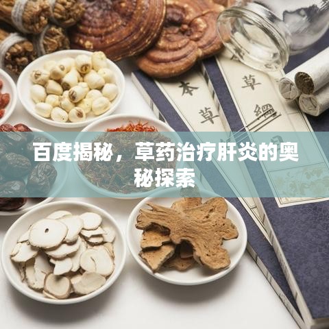百度揭秘，草药治疗肝炎的奥秘探索