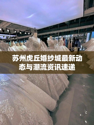 苏州虎丘婚纱城最新动态与潮流资讯速递