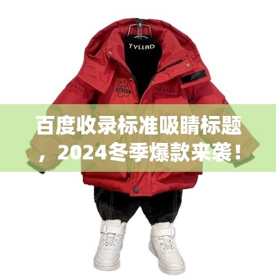 百度收录标准吸睛标题，2024冬季爆款来袭！男儿童时尚外套潮流新款亮相