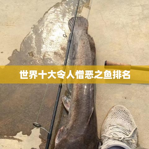 世界十大令人憎恶之鱼排名