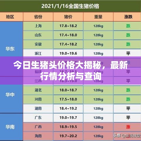 今日生猪头价格大揭秘，最新行情分析与查询