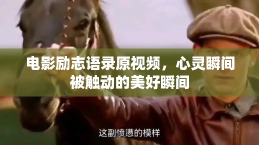 电影励志语录原视频，心灵瞬间被触动的美好瞬间
