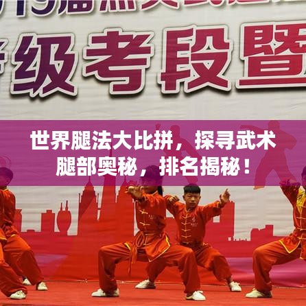 世界腿法大比拼，探寻武术腿部奥秘，排名揭秘！