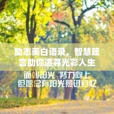 励志美白语录，智慧箴言助你追寻光彩人生