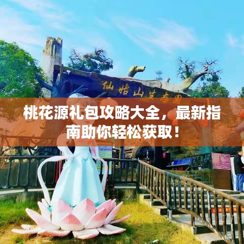 桃花源礼包攻略大全，最新指南助你轻松获取！