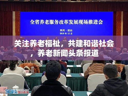 关注养老福祉，共建和谐社会，养老新闻头条报道