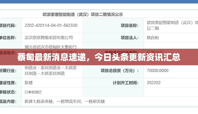 蔡甸最新消息速递，今日头条更新资讯汇总