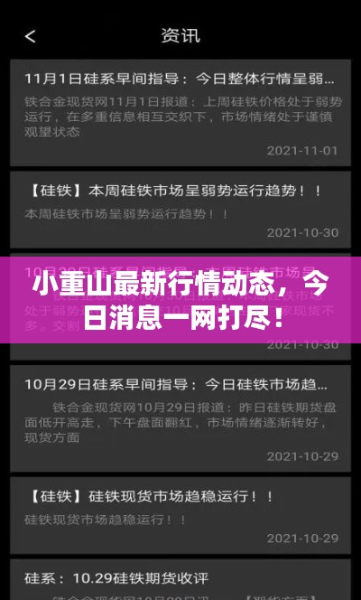 小重山最新行情动态，今日消息一网打尽！